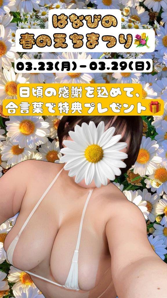 ＼はなびの春のえちまつり?開催／