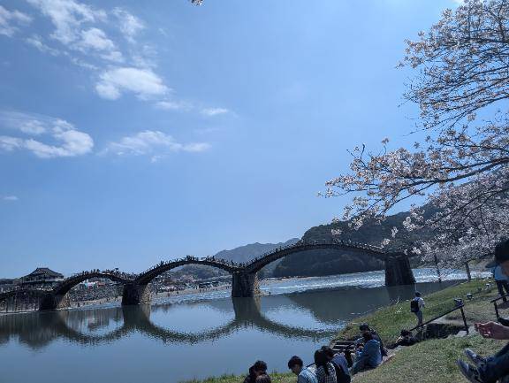 昨日の錦帯橋(*´艸`)