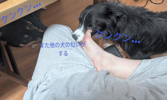 出勤?