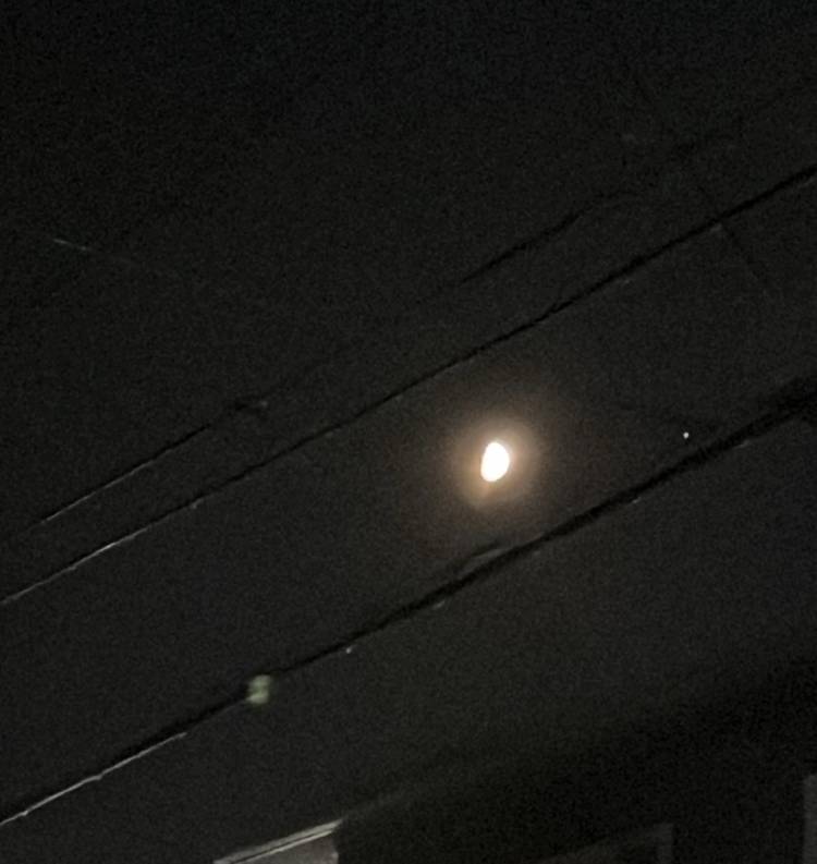 やっと撮れたお月さま🌙