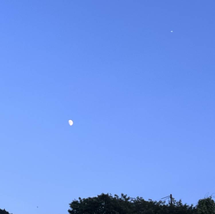 月と飛行機、、と、、鳥？！🌙✈️🐦‍⬛