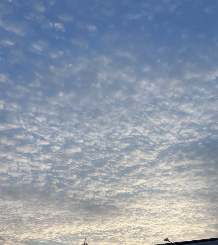 さみしーーい‪🥲‎