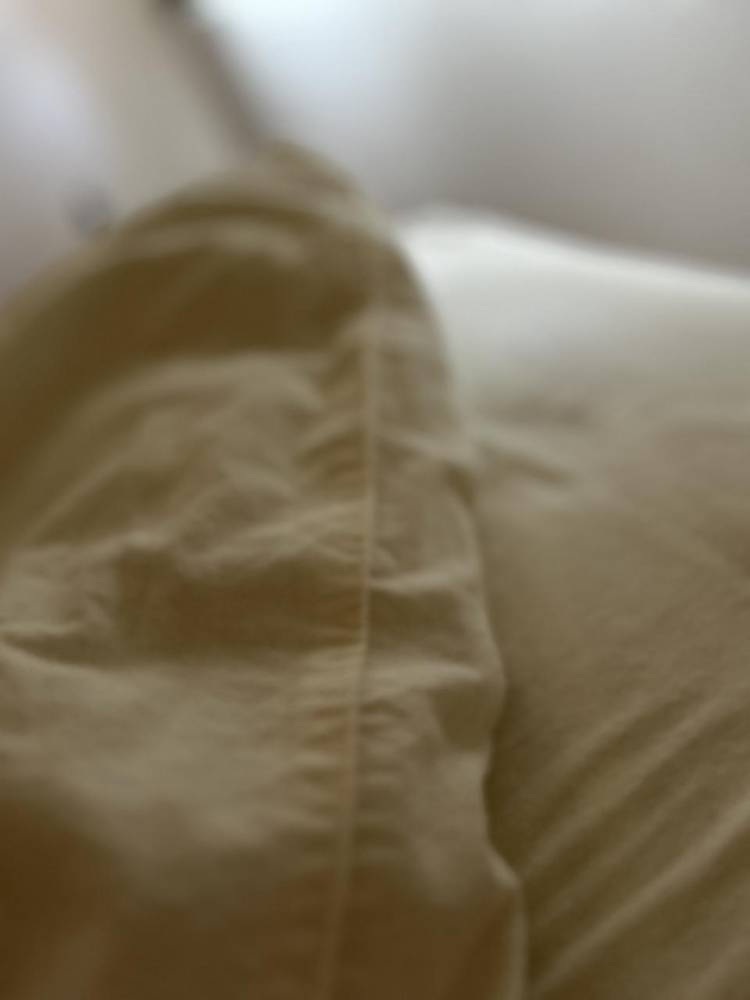 申し訳ないです。。。