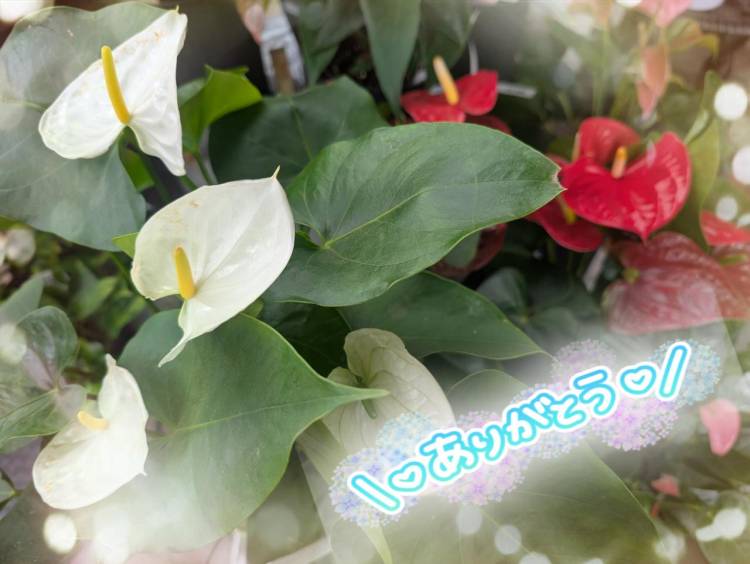 2度目ましてのHさん♡