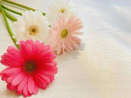 今日のありがと♡