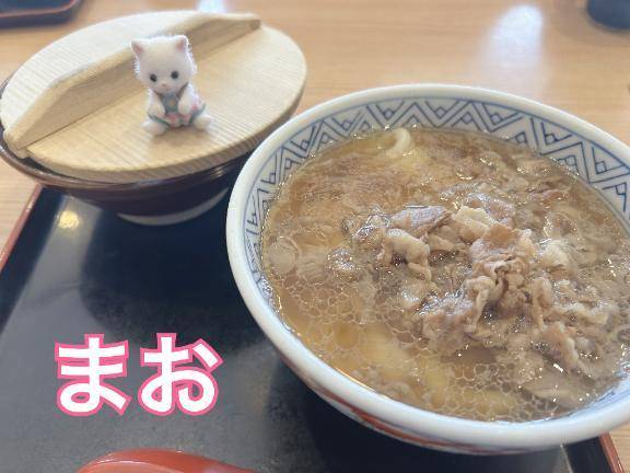 うどんのどんどん食べに行ったよー！✨