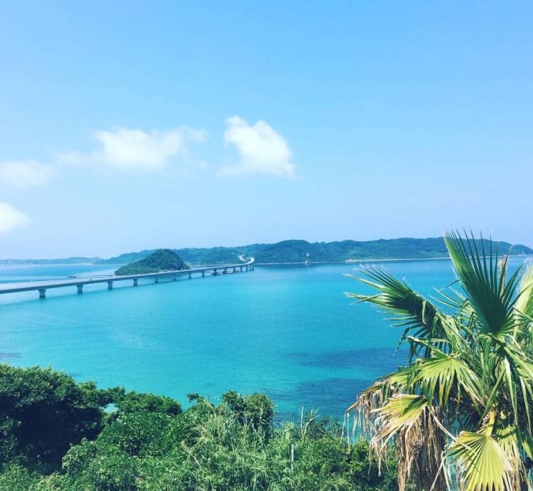 南国繋がり？？🥭🛁🫧