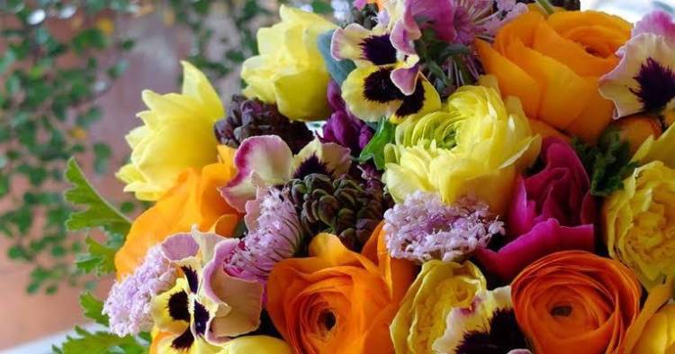 今日のありがと♪