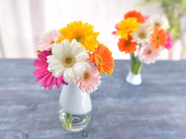 今日のありがと♡