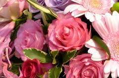 今日のありがと♡