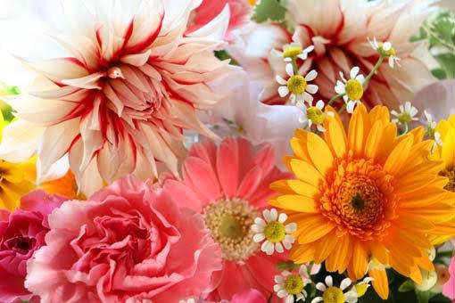 今日のありがと♡