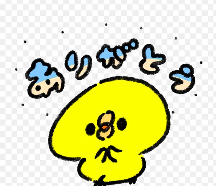 昨日のお礼🕊💌