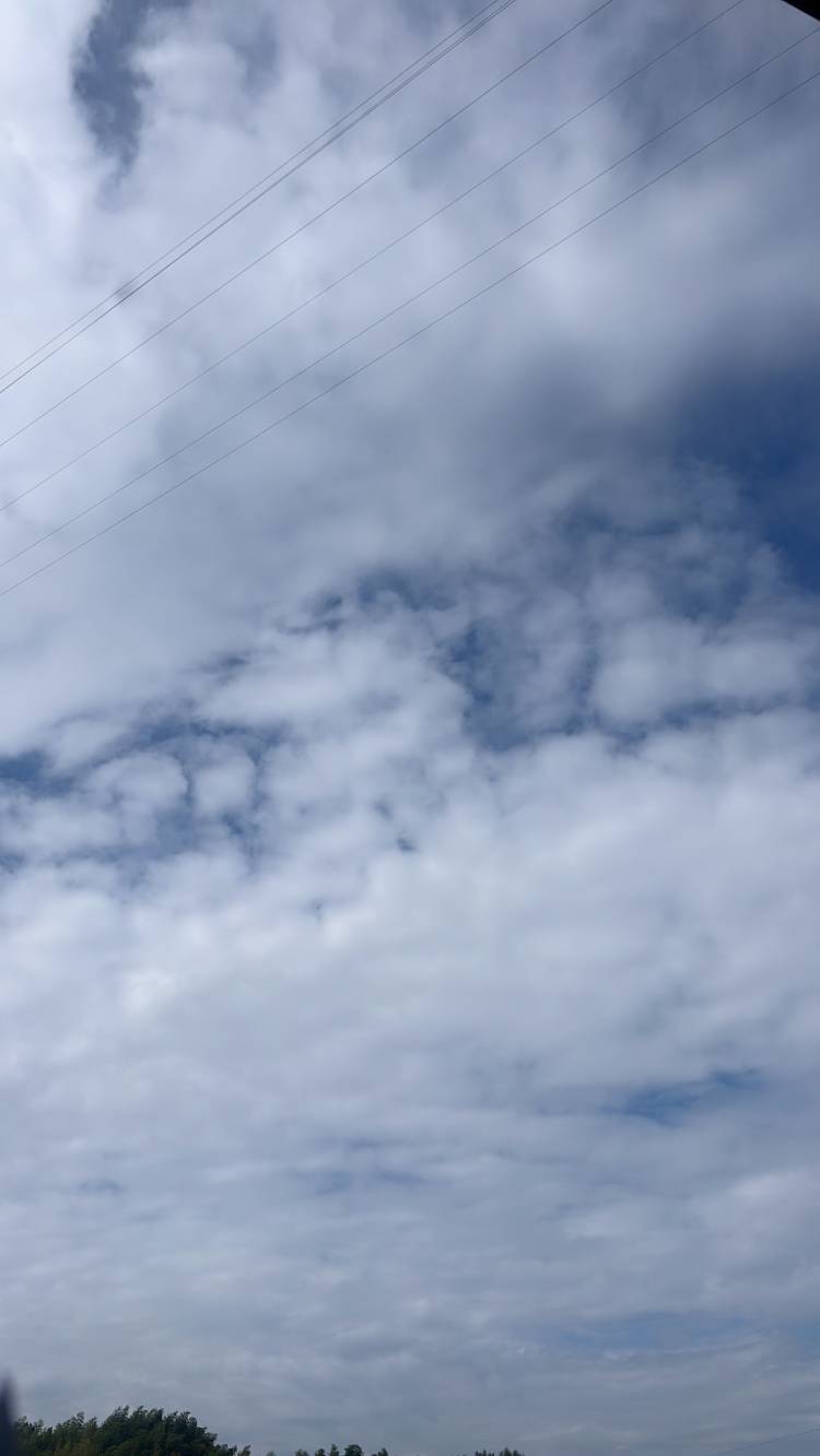 待機に戻りました