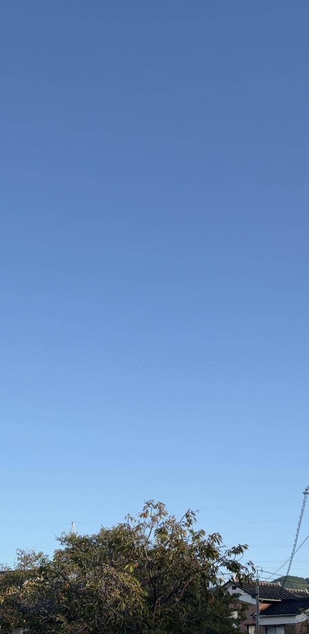 ☆りり(18)☆完全業界未経験