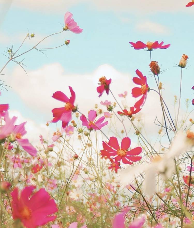 💌  ̖́-‬💕︎💕︎