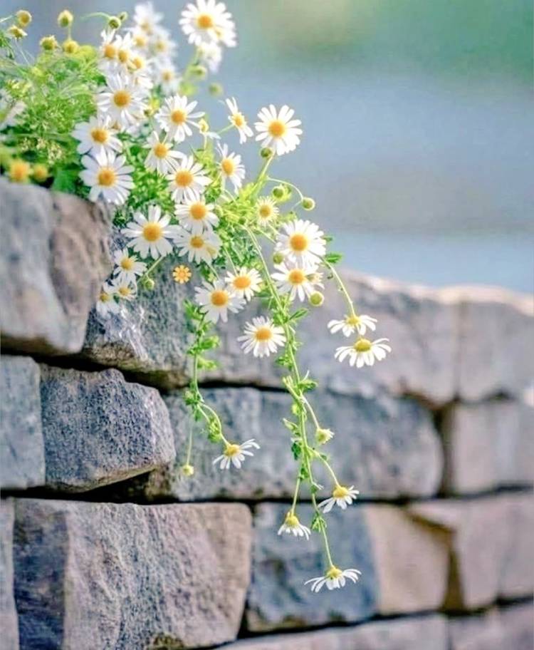 💌💭💕︎💕︎