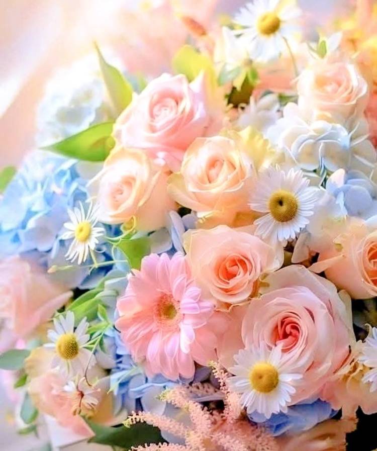 💌💭💕︎💕︎