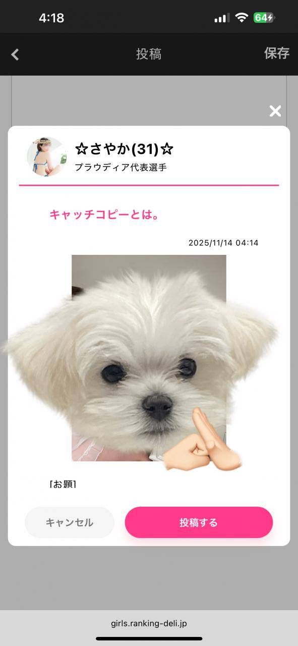 キャッチコピー募集します♪