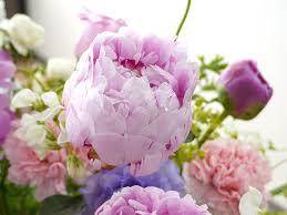 今日のありがと♡