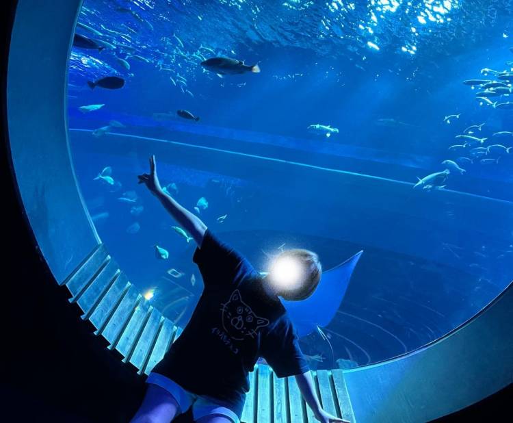 二日間限定!大イベント!!!