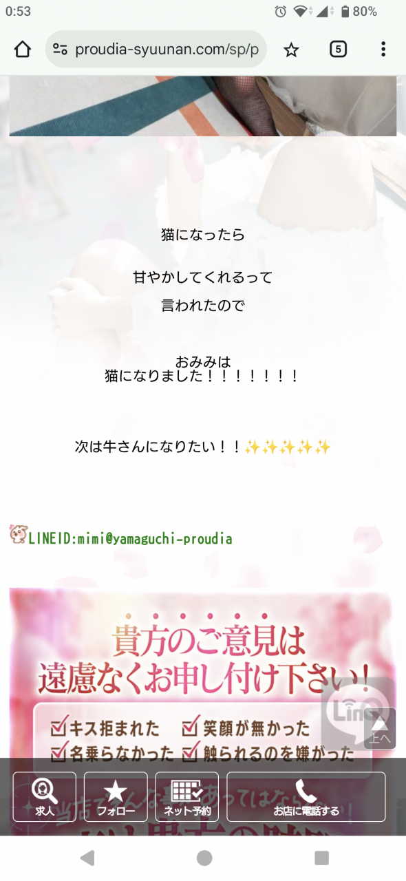 猫ちゃんは甘やかしましょう🐱