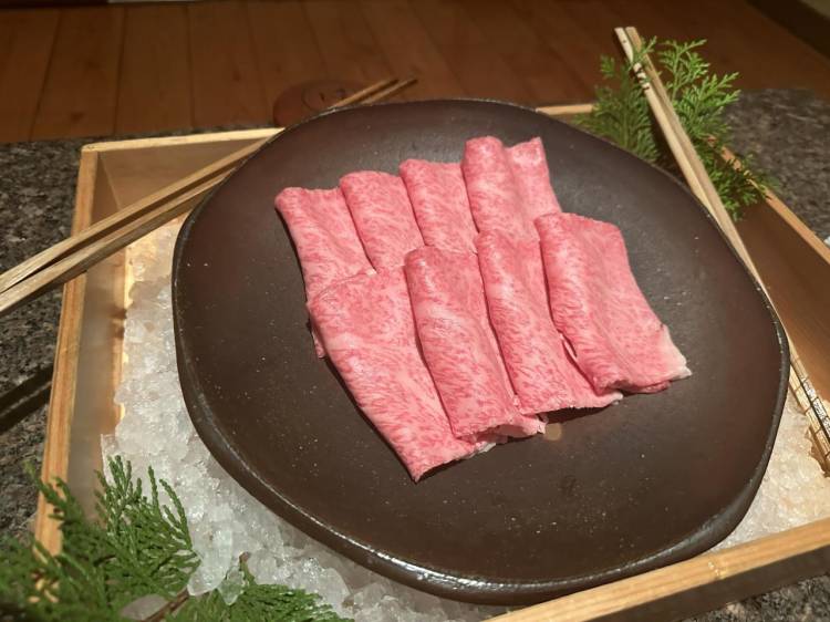 ️🩵本指名様️🩵