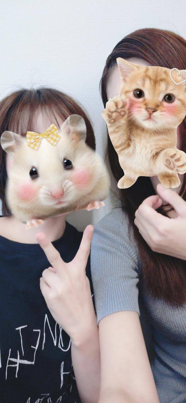 3Pに興味のある方へ