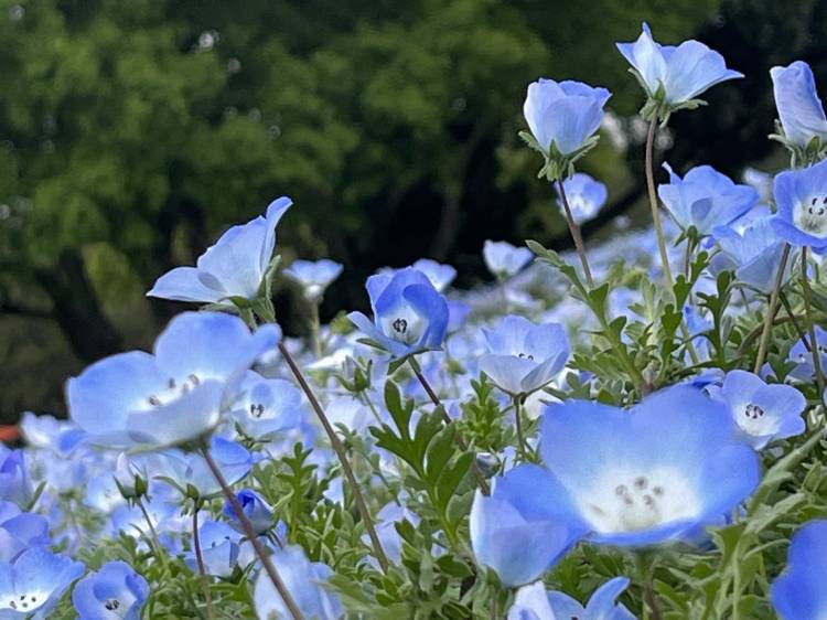 ☆あおい(25)☆完全業界未経験