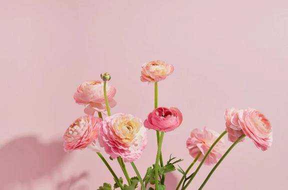 ☆かのん(20)☆えくぼは恋の落とし穴