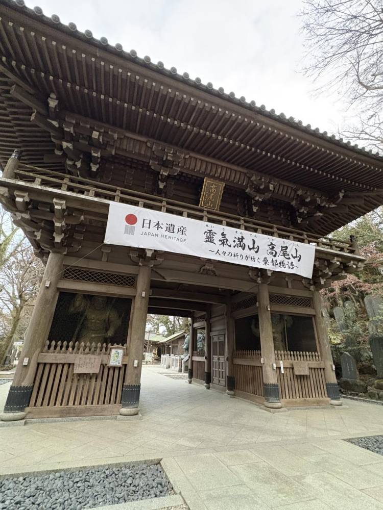 みてくれたかな？