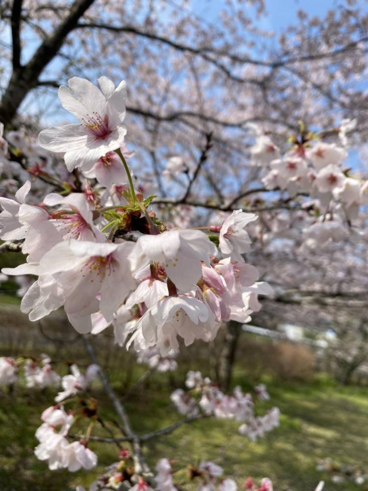 本日9時半より出勤！
