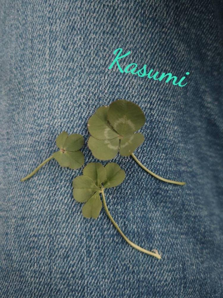 本日の♡