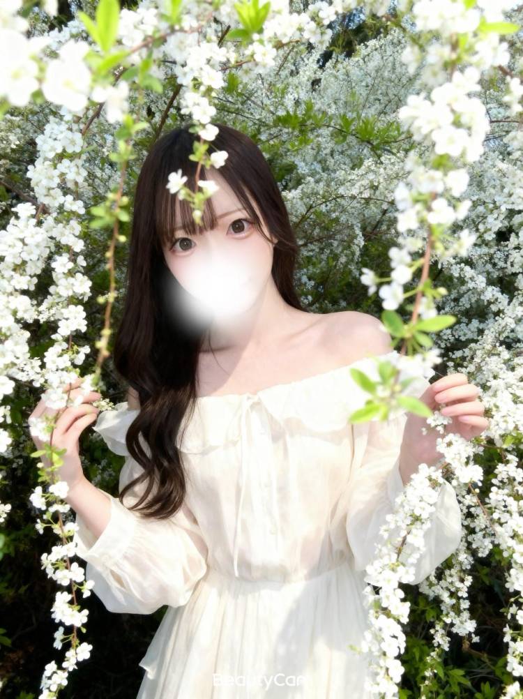 ☆すみれ(27)☆