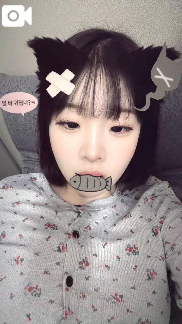 明日から🥹🥹🩷🩷