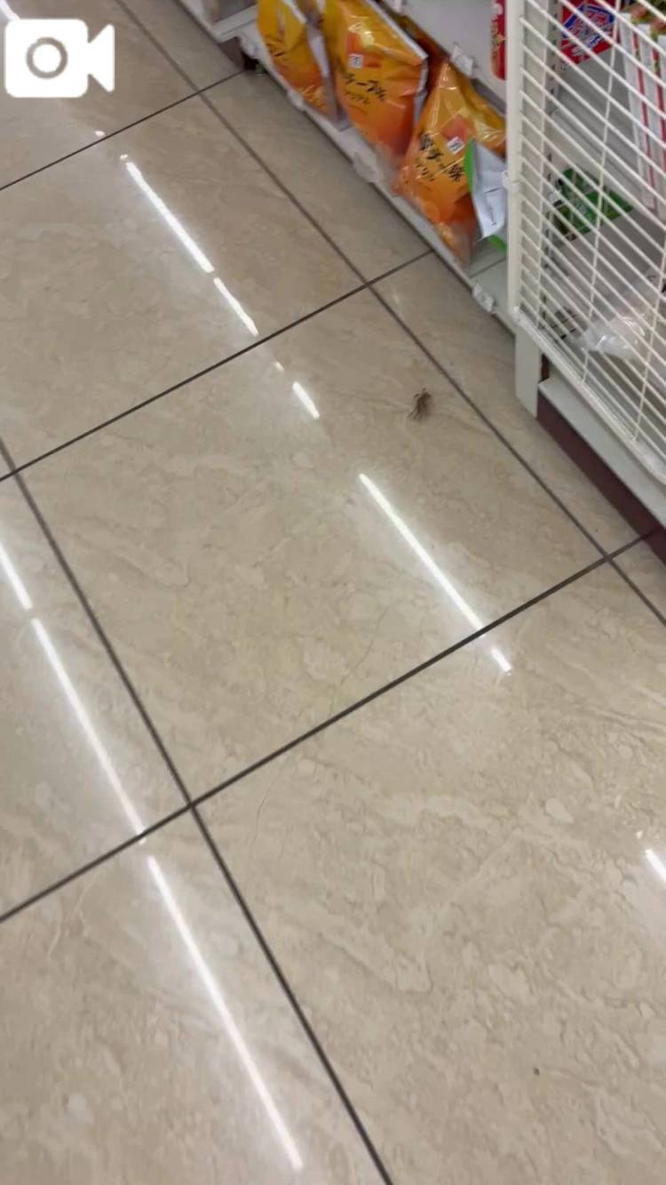 なんで!?笑