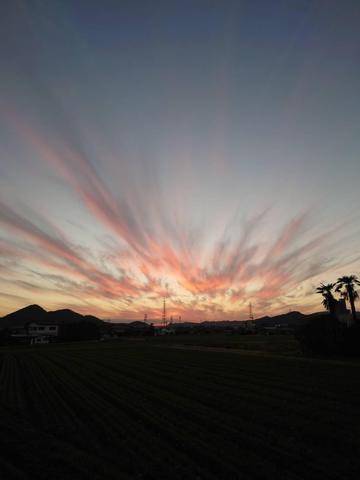 嬉しさ大爆発感激day♡