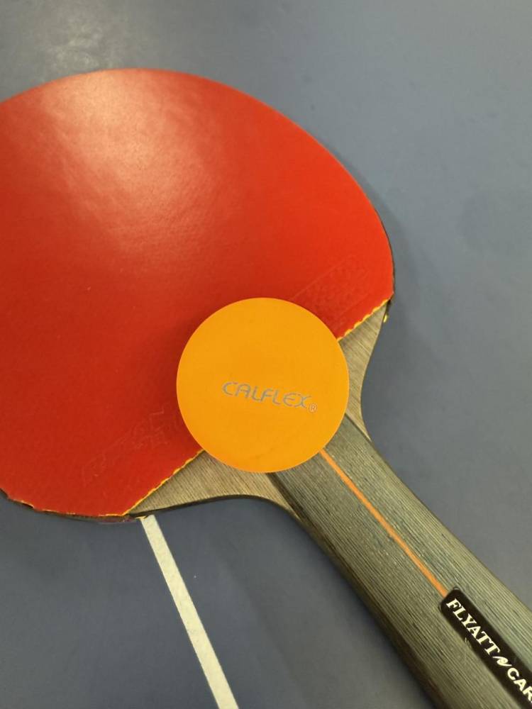 🏓