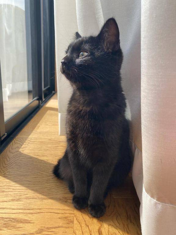 低気圧⤵⤵🥺