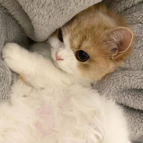 お礼💌