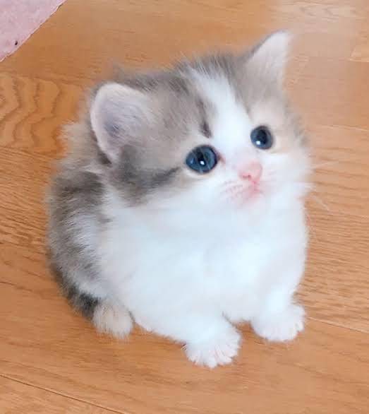 お礼💌