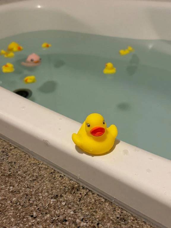 弟子さん ありがとうございます‪🫶🏻️🐥