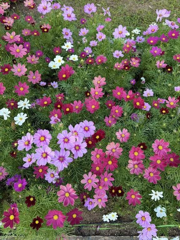 💌💭💕︎💕︎