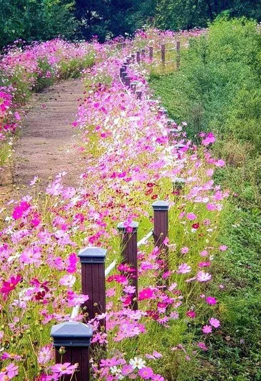 💌💭💕︎💕︎