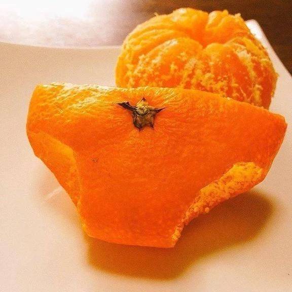 みかん食べたよ🍊❕