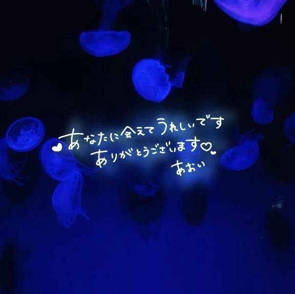 クイーン203のお兄様へ