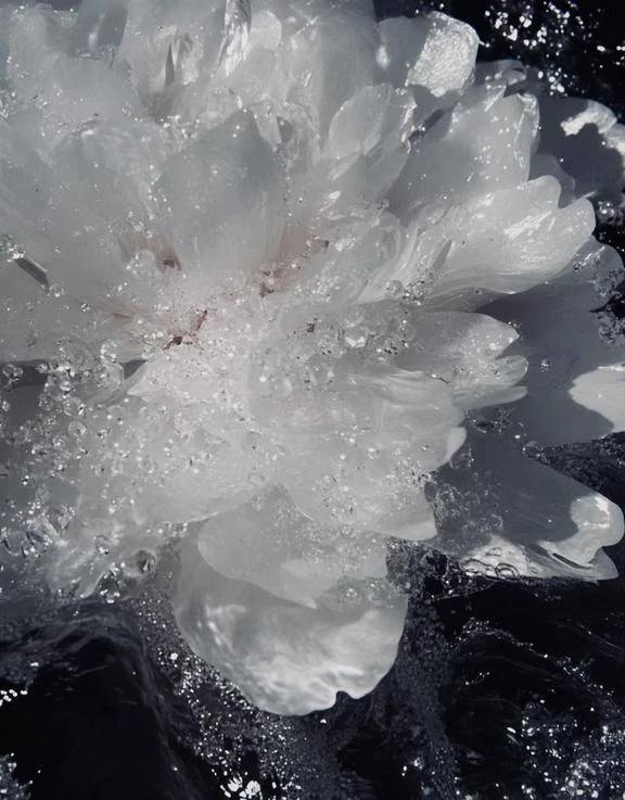 街あかりがあれば雨の日も好きになる