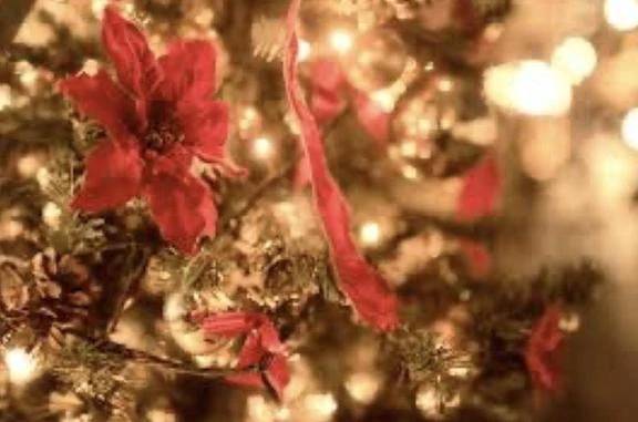 わくわくクリスマス🎄*⋆