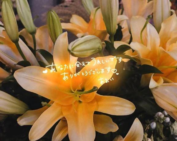 ミツオ0406さんへ