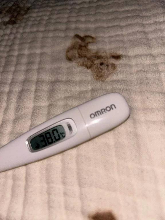 明日はごめんなさい！