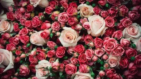 今日のありがとう♡